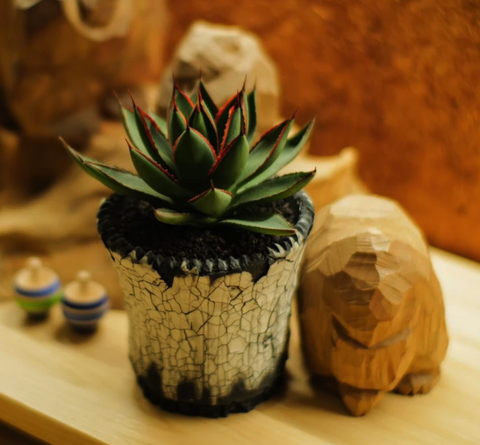 tak-hing-mart-in-stock-products