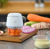 RANSONIC 樂信牌 USB 無線迷你食物處理器 RMC-B4 (清貨特價）(預訂貨品) (包順豐送貨，偏遠地區除外)