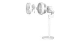 RASONIC 樂信牌 DC 優美扇 (約9吋23厘米) RLF-9KITD (清貨特價）(預訂貨品) (包順豐送貨，偏遠地區除外)